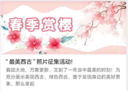 文本描述已自动生成